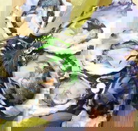 Captain  Co Fish Bar