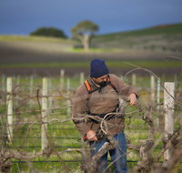 Kurtz Family Vineyards