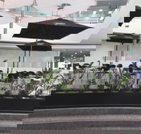 Basia Mille - Sydney Tourism