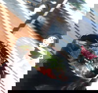 Sushi Monster - Sydney Tourism