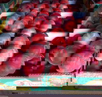 Martins Orchard - Sydney Tourism