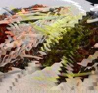 Rising Sun Hotel - Sydney Tourism