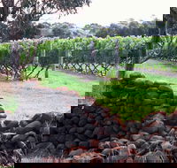 Spring Vale Vineyard - Sydney Tourism
