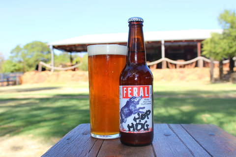 Feral Brewing Company - Sydney Tourism 1