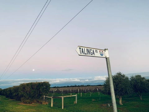 Talinga Grove - Sydney Tourism 2