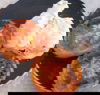 The Deck Poolside Bar  Restaurant - Sydney Tourism