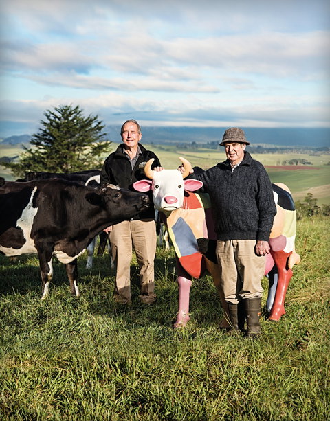 Ashgrove Farm Cheese - Sydney Tourism 1