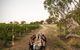 Patrick Of Coonawarra - thumb 2