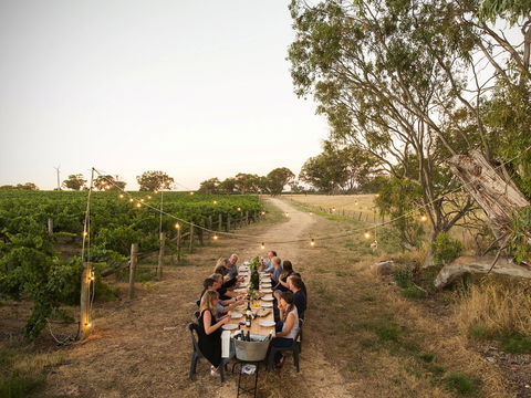 Patrick Of Coonawarra - Sydney Tourism 2