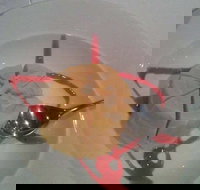 Indian Garden Restaurant - Sydney Tourism