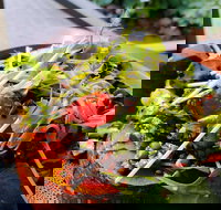 The Berry Farm Cottage Caf - Sydney Tourism