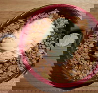 Baum - Sydney Tourism