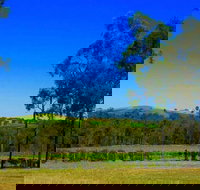 Degen Wines - Sydney Tourism