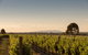 Norton Estate Wines - thumb 2