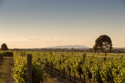 Norton Estate Wines - Sydney Tourism 2