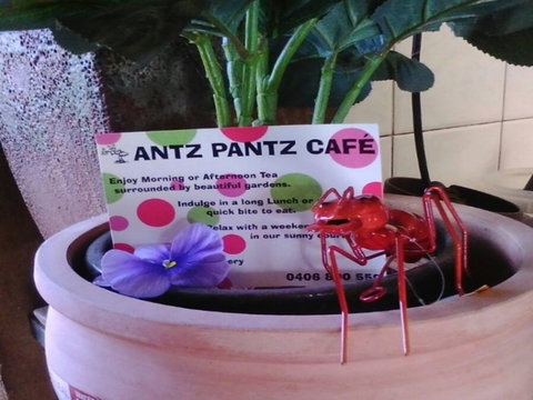 Antz Pantz Cafe - Sydney Tourism 0