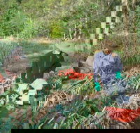 Sweet Water Farm - Sydney Tourism