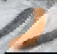 Blue Ocean - Sydney Tourism