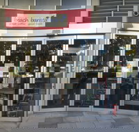 Beach Barista - Sydney Tourism