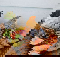 Maisie's Seafood and Steakhouse - Sydney Tourism