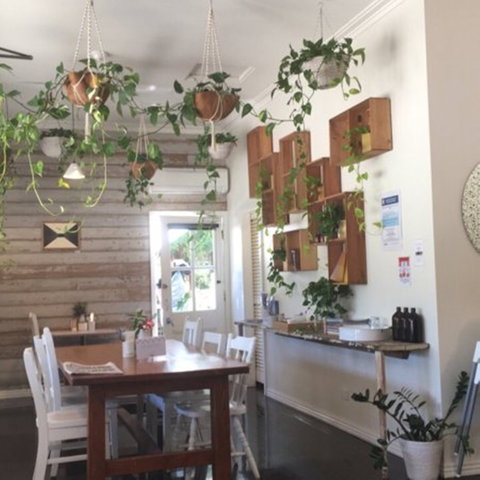 Sonny - Sydney Tourism 1