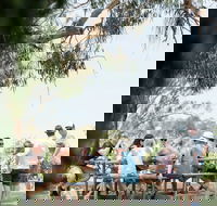 St Leonards Vineyard Caf - Sydney Tourism