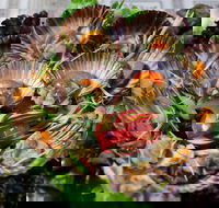 Anam Restaurant - Sydney Tourism