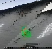 Jessie's Girl - Sydney Tourism