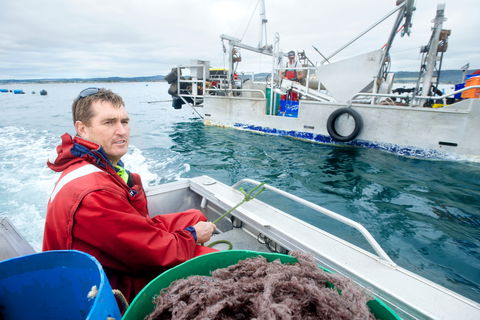 Peninsula Fresh Seafood - Sydney Tourism 0