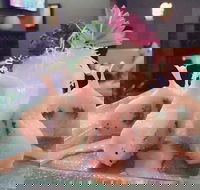 Fusion Wok - Sydney Tourism