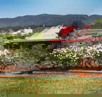 Hanging Tree Wines - Sydney Tourism