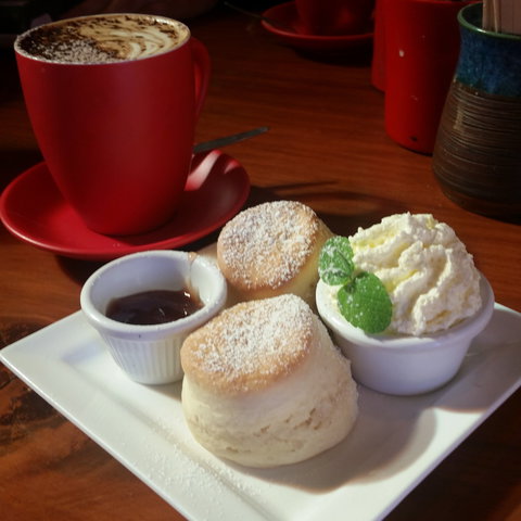 Idle In Cafe - Sydney Tourism 1