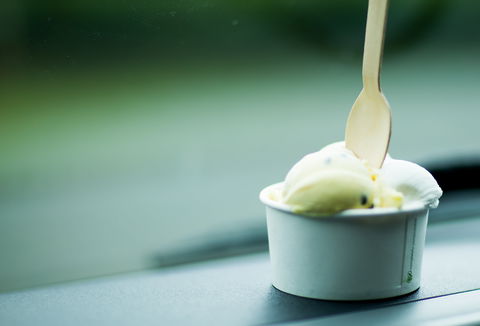 Daintree Ice Cream Company - Sydney Tourism 0