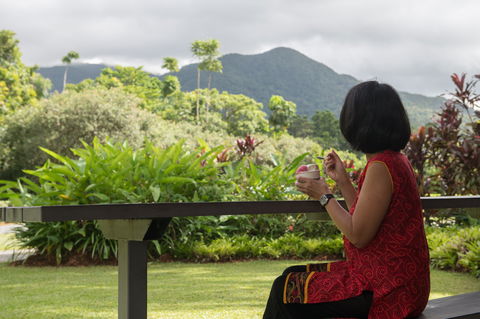 Daintree Ice Cream Company - Sydney Tourism 1
