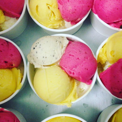 Daintree Ice Cream Company - Sydney Tourism 2