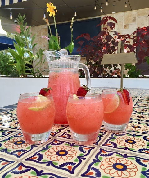 Fillippo's - The Bath Arms Hotel - Burwood - Sydney Tourism 0