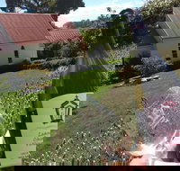 Leaning Church Vineyard - Sydney Tourism