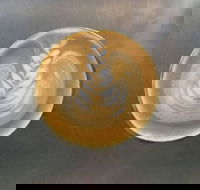 Aussie Bites Cafe - Sydney Tourism