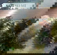 Fork n Knife My Little Deli - Sydney Tourism