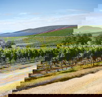 Jansz Tasmania - Sydney Tourism