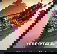 Noodle Box - Coolangatta - Sydney Tourism