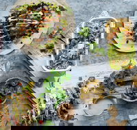 Zambrero - Sydney Tourism