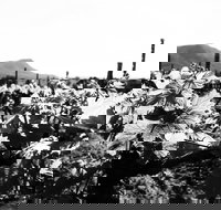 Ballabourneen Wine Co - Sydney Tourism