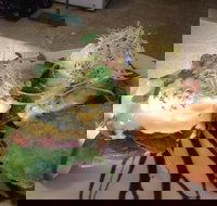 Cafe in the Mountains - Sydney Tourism