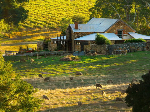Hutton Vale Farm - Sydney Tourism 1