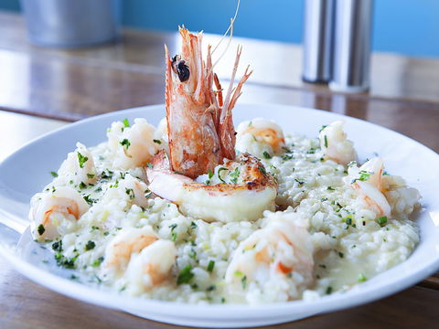 Northbeach Pavilion Pizza Restaurant, Bar And Kiosk - Sydney Tourism 2