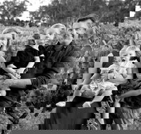 Elbourne Wines - Sydney Tourism