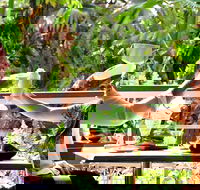 Jaques Coffee Plantation - Sydney Tourism