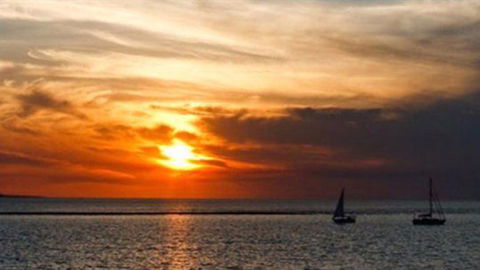 La Beach Restaurant - Sydney Tourism 0