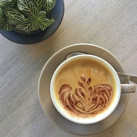 Soul Surf Cafe - Sydney Tourism 0